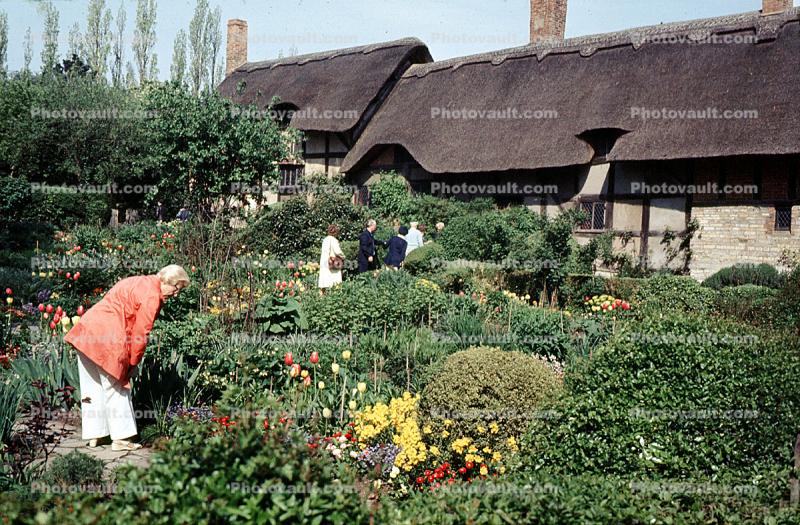 Anne Hathaway's Cottage, Thatched Roof Houses, Homes, Grass Roof, buildings, Stratford-upon-Avon, England, building
