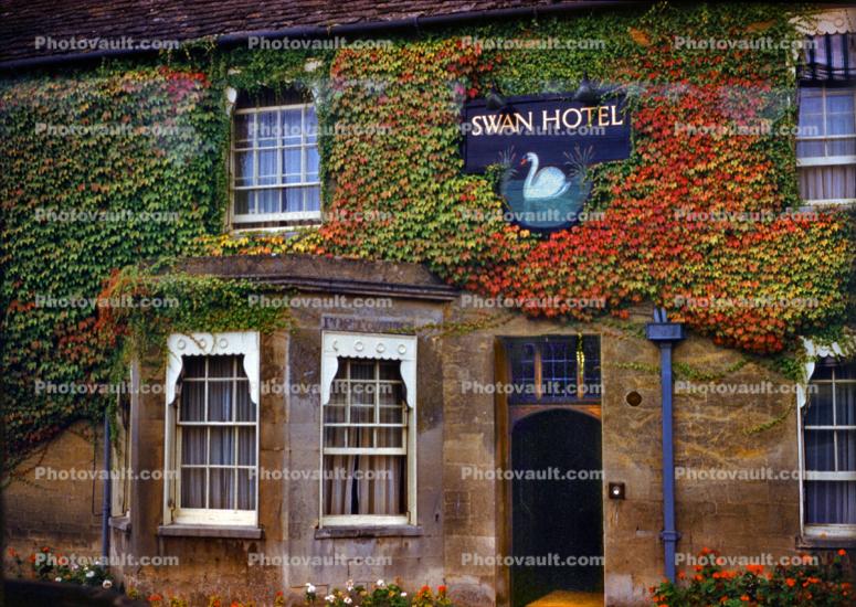 Swan Hotel, Door, Windows, Ivy. Bibury, Gloucestershire