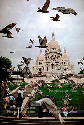 Pigeons, The Sacre Coeur Basilica