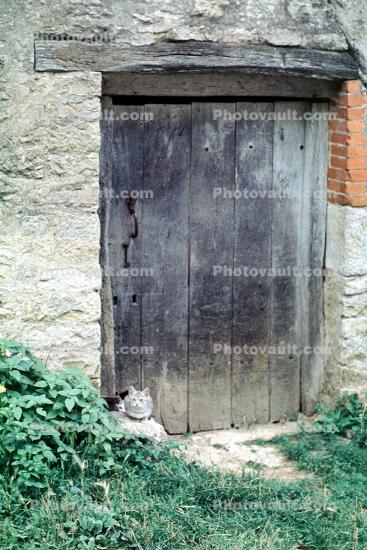 Wooden Door, doorway, entrance
