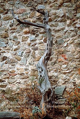 Stick, Stone Wall, La Mole