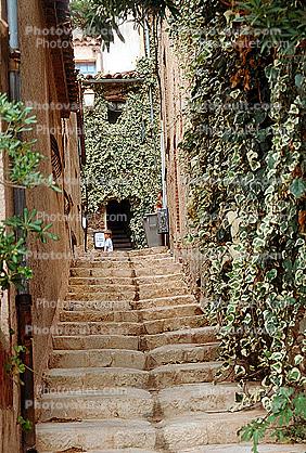 Stairs, steps, ivy, Buildings, Homes
