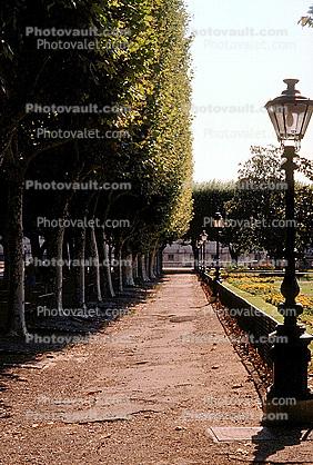 Trees, Path, Lamps