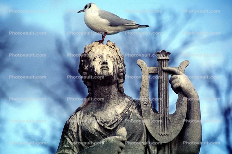 statue, female, pigeon, harp, woman, sunny, daylight, robe, lyre