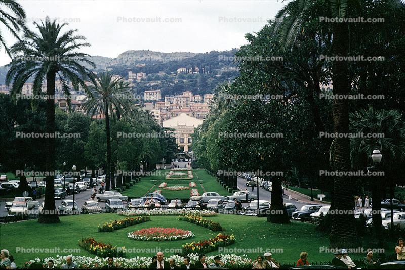 Palm Trees, Park, cars, garden, cityscape, trees, 1950s