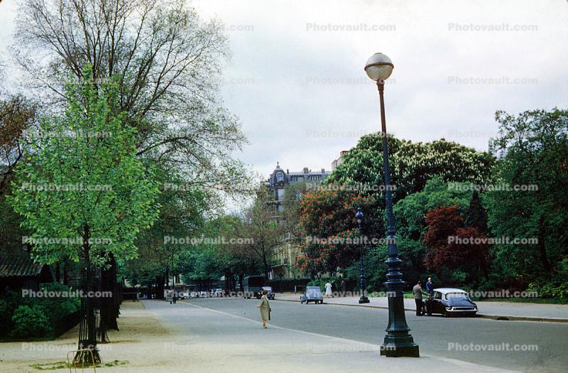 Trees, Road, Street, Citroen 2CV, Paris, May 1959, 1950s