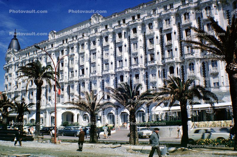 Carlton Hotel, Palm Trees