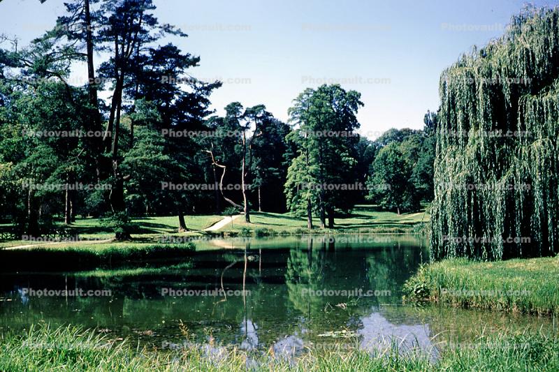 Le Haneau, Trees, Pond, Reflection, Gardens