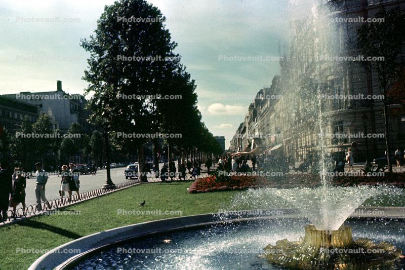 Water Fountain, aquatics, Trees, Champs Elysees, September 21 1960, 1960s