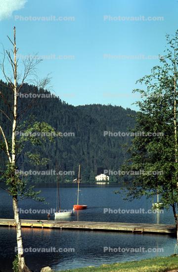 Dock, Lake, Trees, Mountain