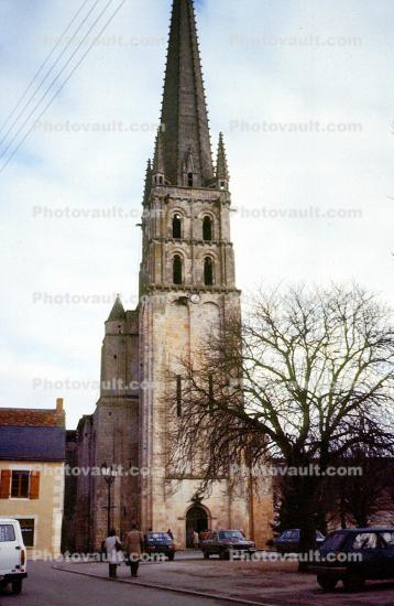 Tower, Church, Cathedral, Bare Tree