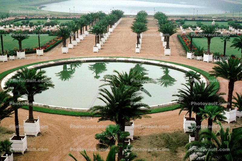 Chateau, pond, Palm Trees, walkway, Gardens
