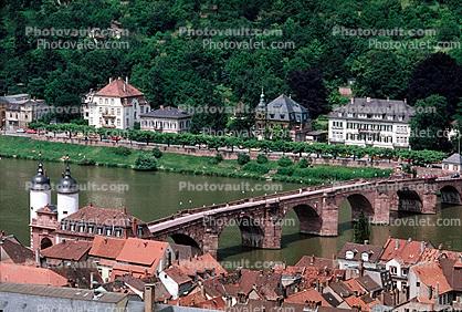 Neckar River, Valley, Heidelberg
