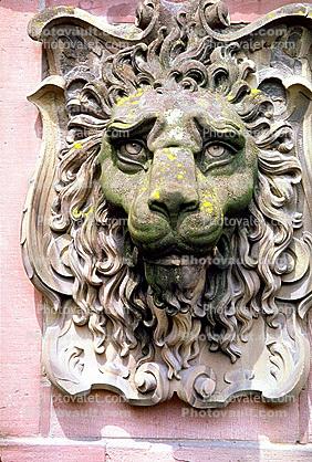 Lion, Face, Heidelberger Schlossruin, Heidelberg Castle, K?nigstuhl Hillside, Baden-W?rttemberg, German, Karlsruhe, landmark