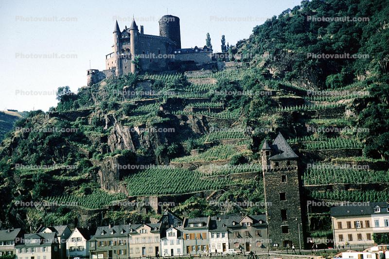 Tower, Castle, Hilltop, Vineyards, Homes, Buildings, Rhine River, South of Koblenz, (Rhein), 1950s