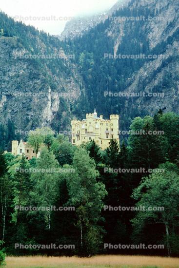 Schloss Hohenschwangau, Bavaria, Alps, Mountains, Trees, Castle, Schwangau