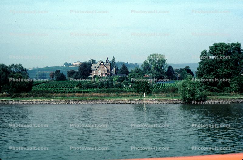 Home, Mansion, Trees, north of Mainz, Rhine River, (Rhein)
