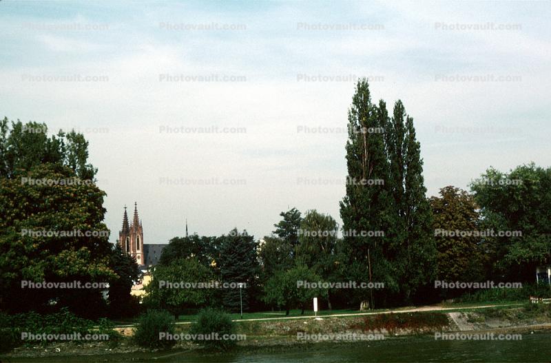 Cathedral, Trees, north of Mainz, Rhine River, (Rhein)