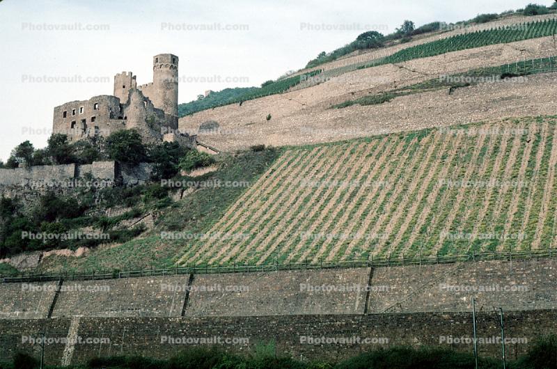 Castle, Hilltop, Mountains, wall, seawall, north of Mainz, Rhine River, (Rhein), The Ehrenfels ruins, near Rudesheim, Northwestern Wiesbaden