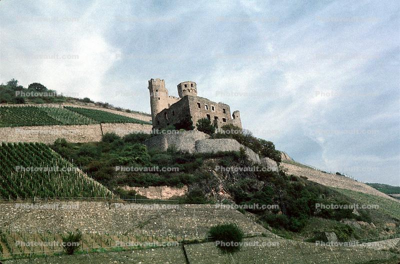Castle, Vineyards, Hilltop, Mountain, north of Mainz, Rhine River, (Rhein), The Ehrenfels ruins, near Rudesheim, Northwestern Wiesbaden