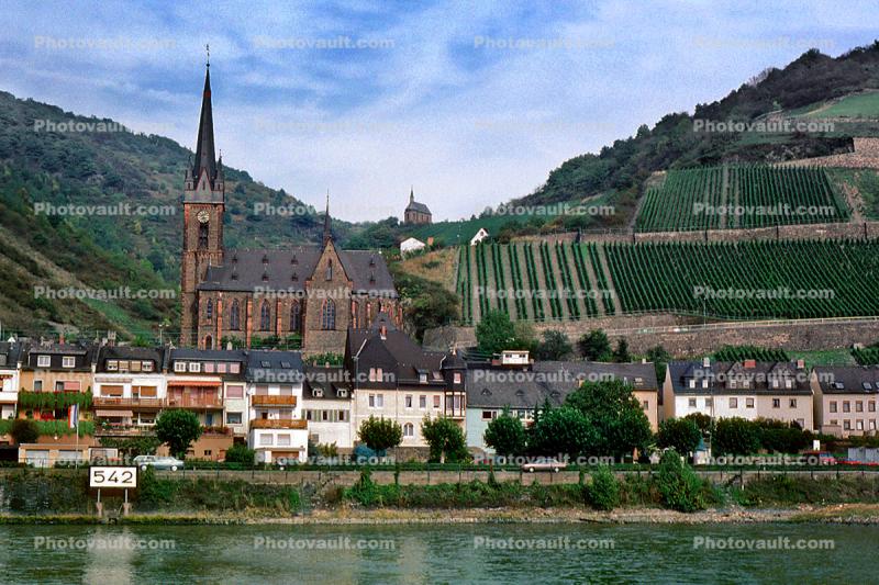 Cathedral, Church, Vineyards, Castle, Homes, Houses, Village, Town, Hilltop, Mountains, Rhine River Gorge, (Rhein), Rhine River
