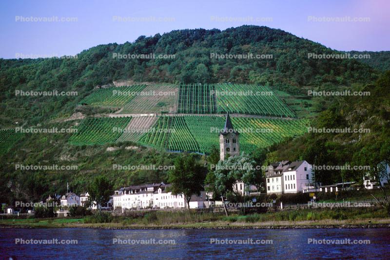 Church, Vineyards, Homes, Houses, Village, Town, Hilltop, Mountains, Rhine River Gorge, (Rhein), Rhine River