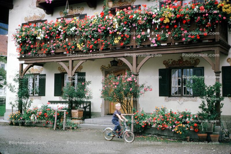 Hanging Flowers, Building, Balcony, Mittenwald