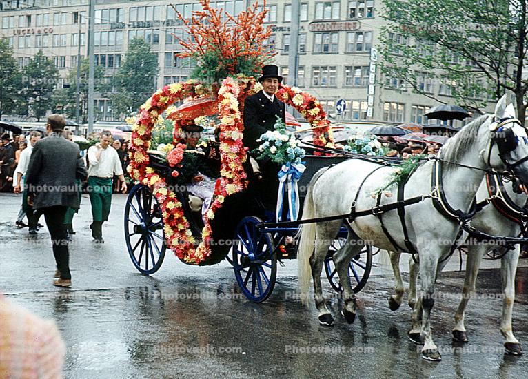 White Horse, Ornate Carriage, Rainy, opulant