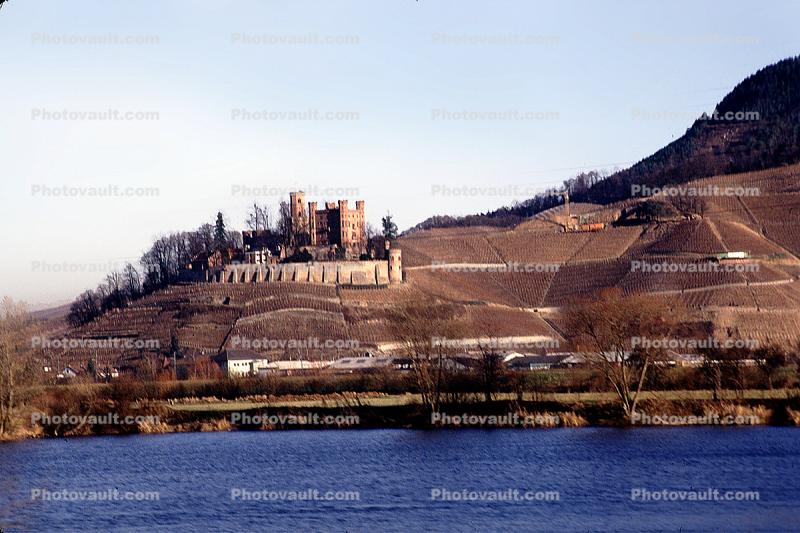Castle, Vineyard, Village, Town, Hill, Mountain, Rhine River, Terraces, (Rhein)