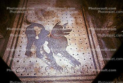 Tilework, Mosaic, Ferocious Dog, Pompei