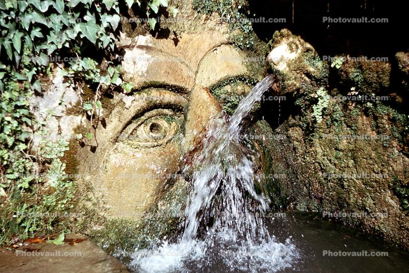 Tivoli Fountain, lion