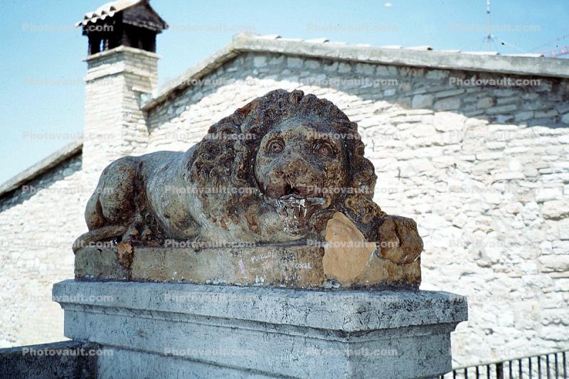 Lion, Assisi, Perugia, Umbria