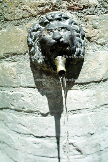 Lion, Spello, province of Perugia, east central, Umbria