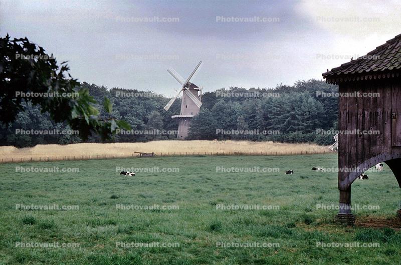 Grass, Lawn, Windmill