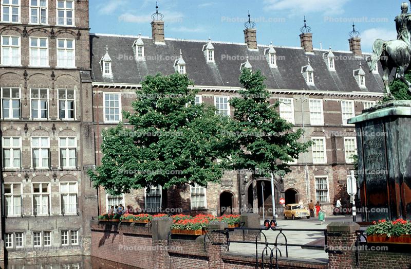 Home, Trees, Amsterdam