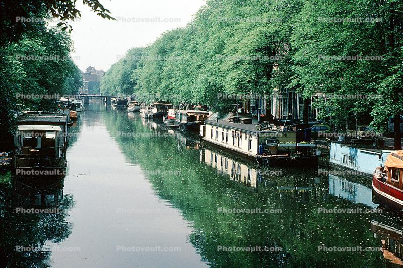 Houseboats, Floating Homes, Trees, Canal, Waterway, Reflection, Amsterdam