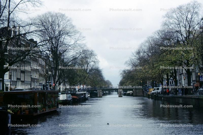 Canal, Waterway, Trees, Homes, Amsterdam