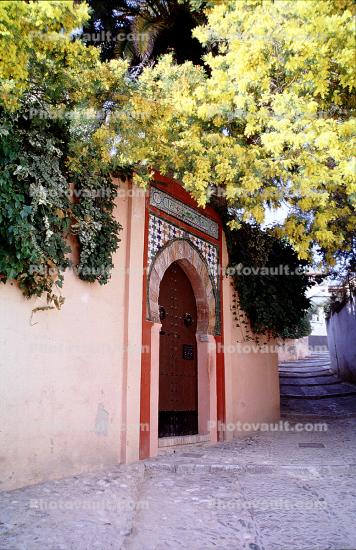 Mimosa Tree, Moorish entrance, Moor, wall, steps