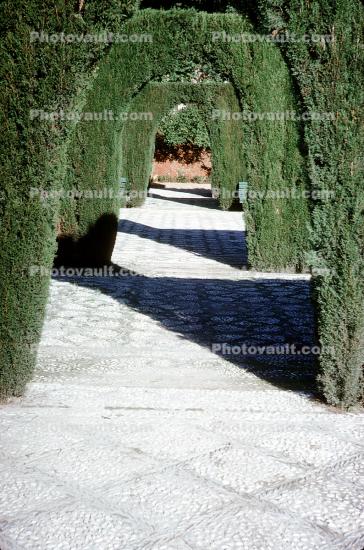 Arch, Walkway, Alhambra, Granada, Andalusia, Spain