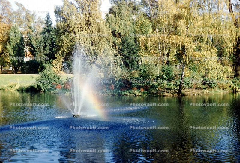 Pond, Water Fountain, aquatics, Gardens