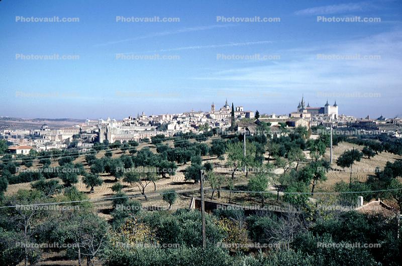 Cityscape, hills, olive orchard, 1950s