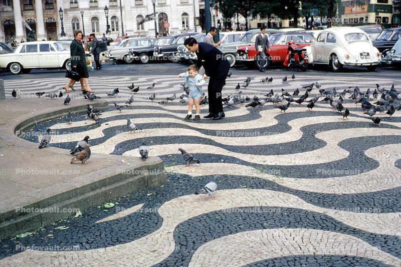 Pigeons, Volkswagen Bug, Lisbon, tile sidewalk, illusion