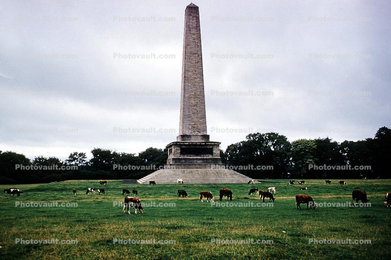 Obelisk, The Wellington Monument in Phoenix Park, Dublin