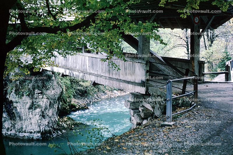 Footbridge, River, Stream, Trees, Thunn, Switzerland