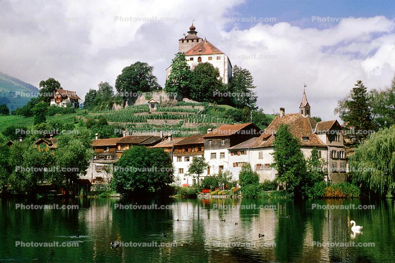 Palace, Castle, Homes, Houses, Lake, Swan, W?rttemberg, Switzerland