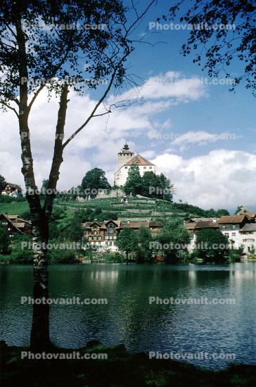 Palace, Castle, Homes, Houses, Lake, W?rttemberg, Switzerland