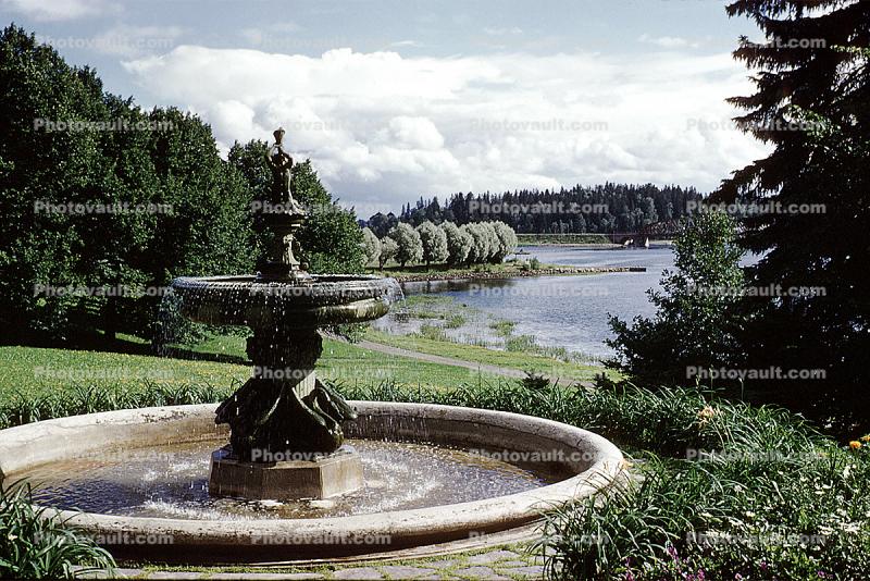 Water Fountain, aquatics, Gardens