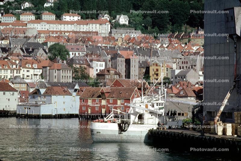 Waterfront, Homes, Houses, Harbor, Dock, Hill, Bergen