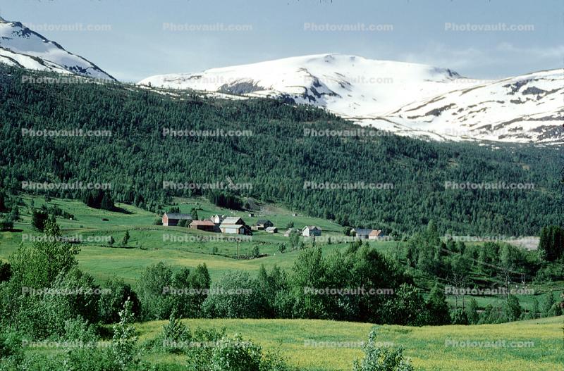 Mountains, Valley, Geiranger, municipality of Stranda
