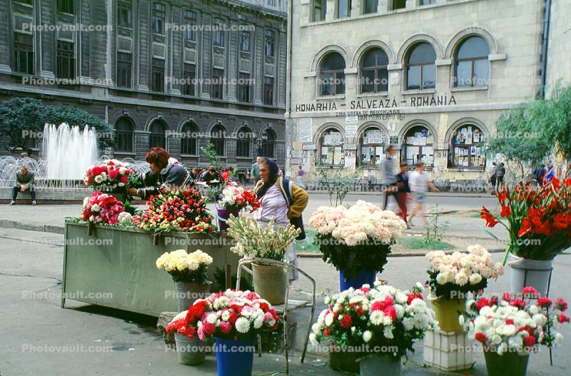 Flower Stand, Bucharest